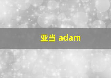 亚当 adam